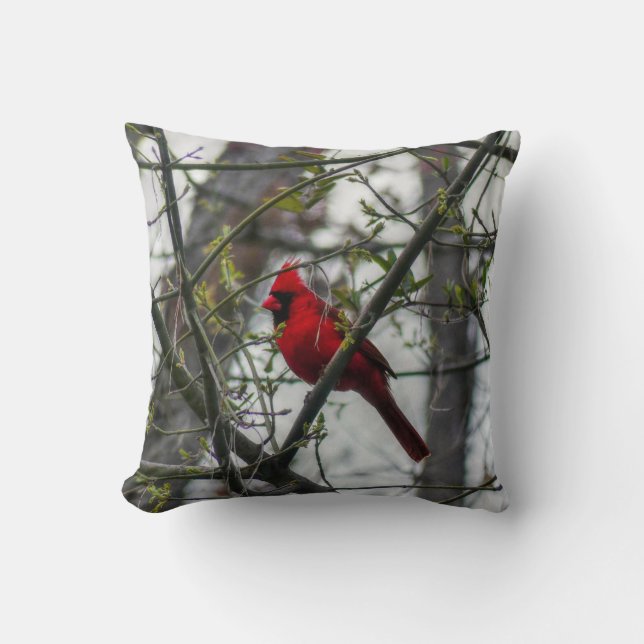 Cardinal Cushion (Front)