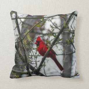 Cardinal Cushion