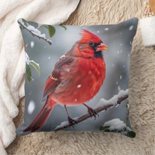 Cardinal  cushion