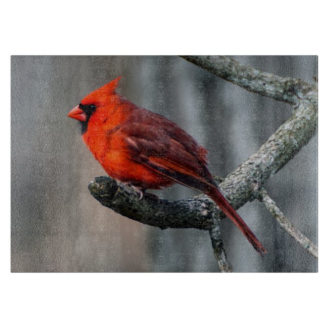 Cardinal Decorative Glass Cutting Board (Front)