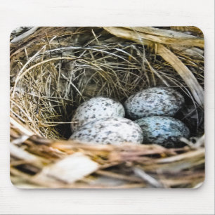 Cardinal Egg Mousepad
