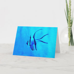Cardinal fish holiday card