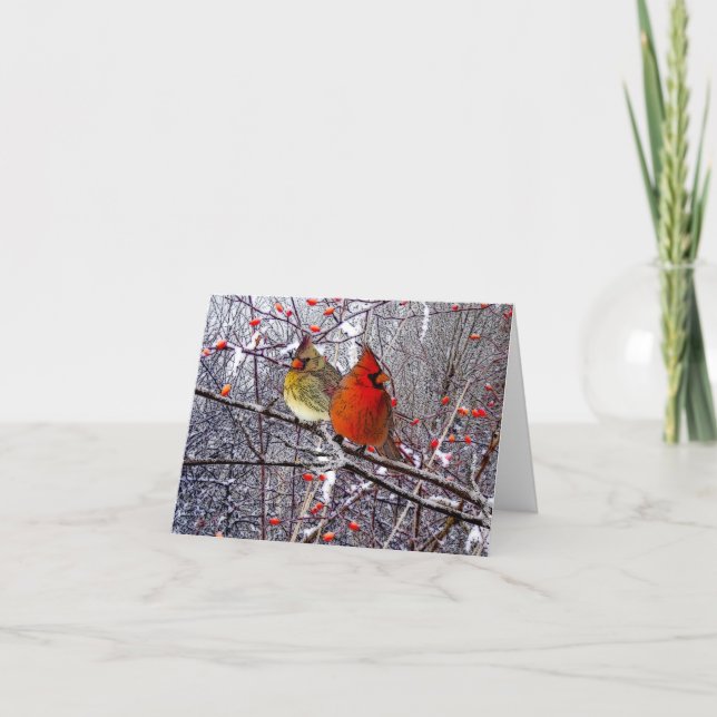 Cardinal Forest Note Card (Front)