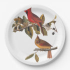 Cardinal Grosbeak Audubon Birds of America