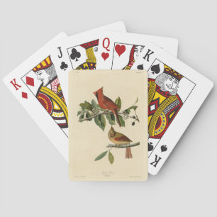 Cardinal Grosbeak from Audubon's Birds of America Playing Cards