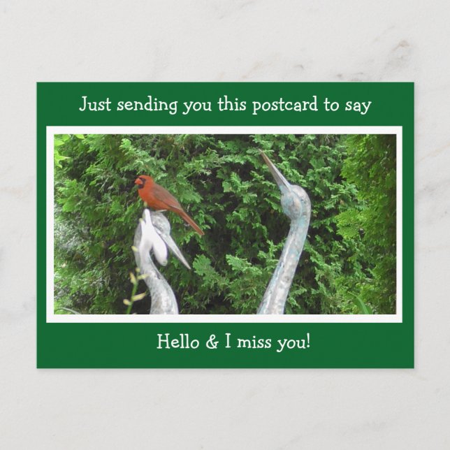 Cardinal Hiding saying Hello and Miss You Postcard (Front)