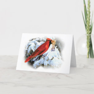 Cardinal Holiday Greeting Card