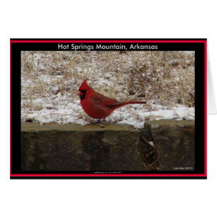Cardinal Hot Springs Nat. Park Mountain AR Gifts