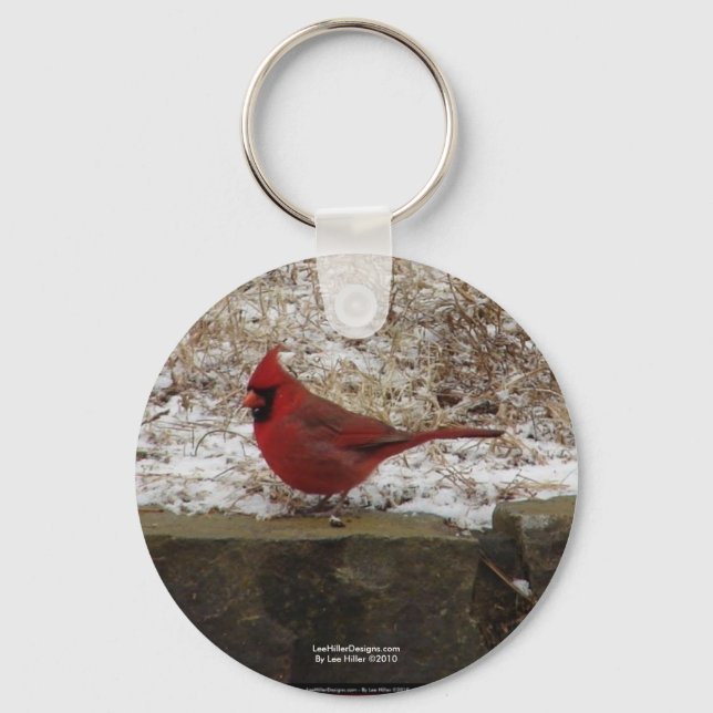 Cardinal Hot Springs Nat. Park Mountain AR Gifts Key Ring (Front)