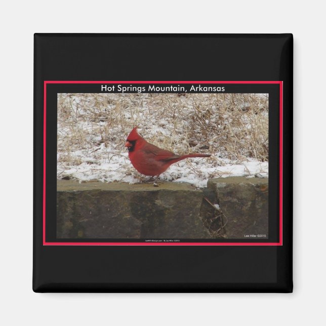 Cardinal Hot Springs Nat. Park Mountain AR Gifts Magnet (Front)