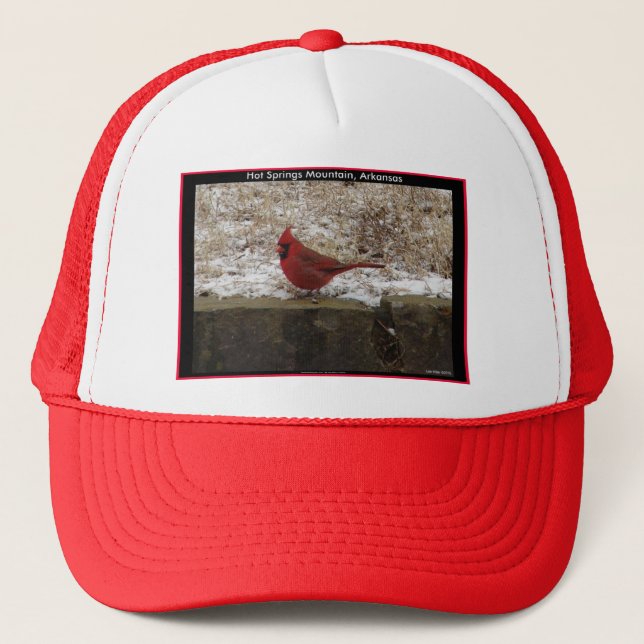 Cardinal Hot Springs Nat. Park Mountain AR Gifts Trucker Hat (Front)