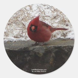 Cardinal Hot Springs Nat. Park Mt AR Gifts Apparel Classic Round Sticker