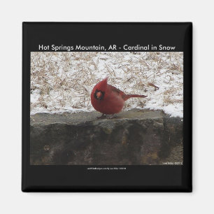 Cardinal Hot Springs Nat. Park Mt AR Gifts Apparel Magnet