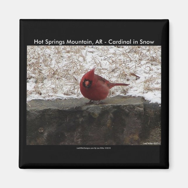 Cardinal Hot Springs Nat. Park Mt AR Gifts Apparel Magnet (Front)