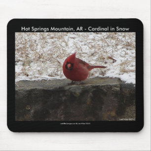 Cardinal Hot Springs Nat. Park Mt AR Gifts Apparel Mouse Mat