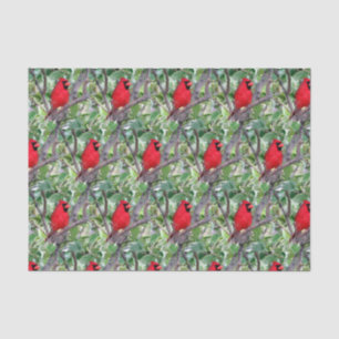 Cardinal in a Lemon Tree 2  - Tissue Paper