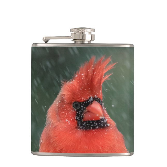 Cardinal in a pine tree during a snow storm hip flask (Front)