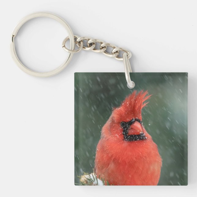 Cardinal in a pine tree during a snow storm key ring (Front)