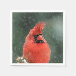 Cardinal in a pine tree during a snow storm napkin
