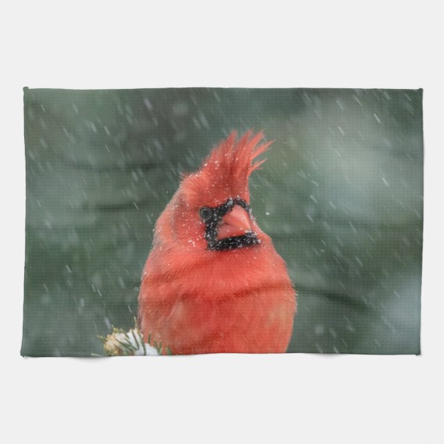 Cardinal in a pine tree during a snow storm tea towel (Horizontal)