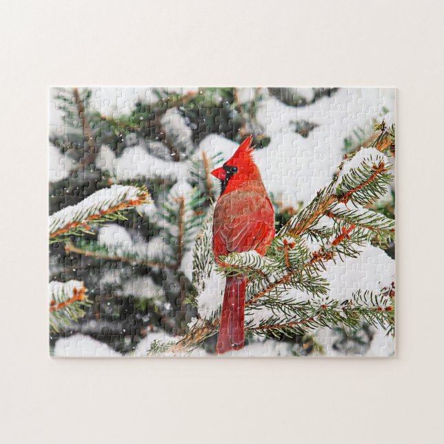 Cardinal in a pine tree jigsaw puzzle (Horizontal)