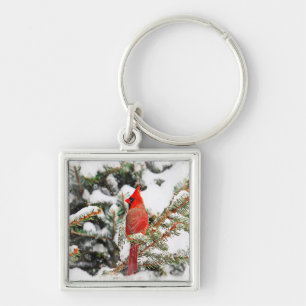Cardinal in a pine tree key ring