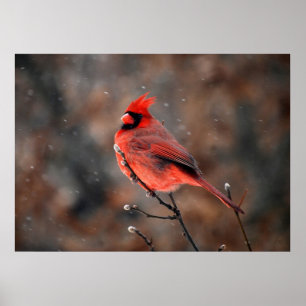 Cardinal in a Snowstorm Poster
