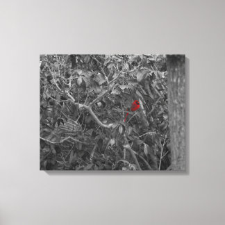 Cardinal in a Tree Stretched Canvas Print
