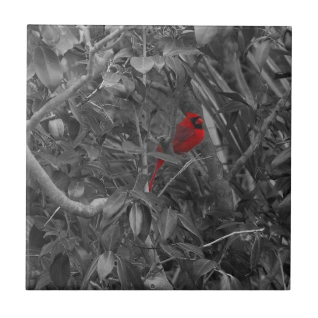 Cardinal in a Tree tile (Front)