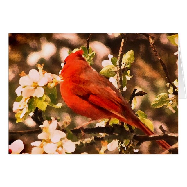 Cardinal in Apple Blossoms (Front Horizontal)