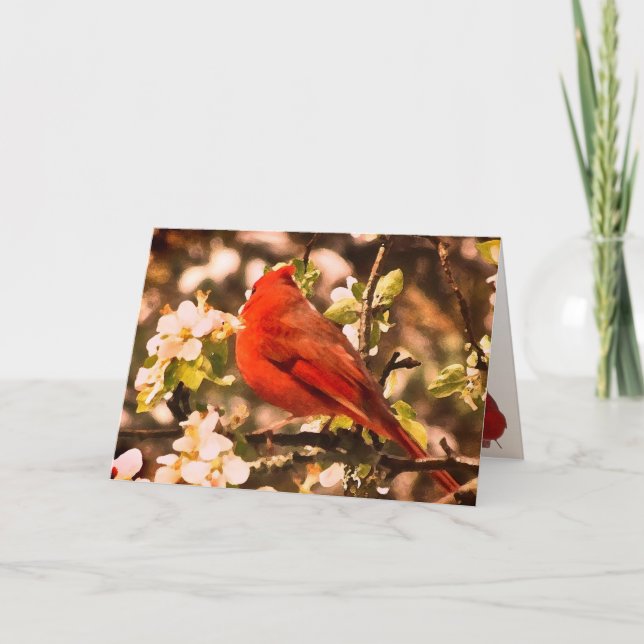 Cardinal in Apple Blossoms Birthday Card (Front)