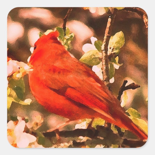 Cardinal in Apple Blossoms Square Sticker (Front)