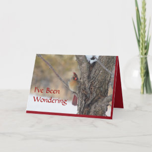 Cardinal in Ash tree-customise any occasion Card