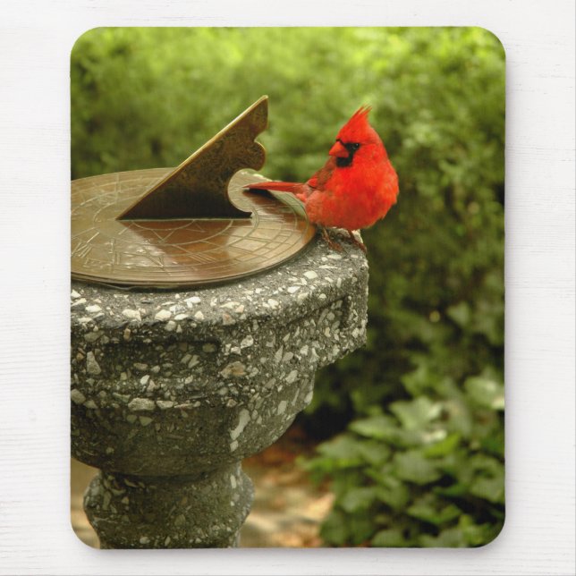 Cardinal in Central Park Mousepad (Front)