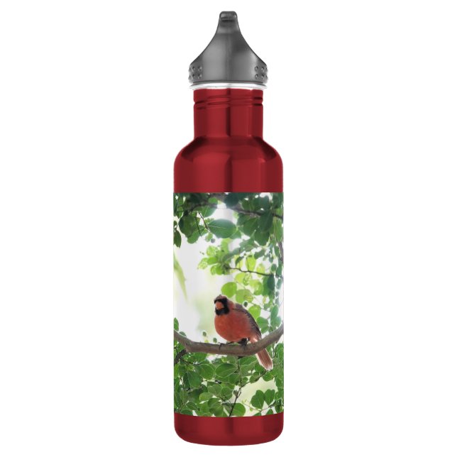 Cardinal in Crepe Myrtle, Personalised 710 Ml Water Bottle (Right)