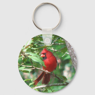 Cardinal in Holly Key Ring