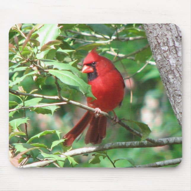 Cardinal in Holly Mouse Mat (Front)