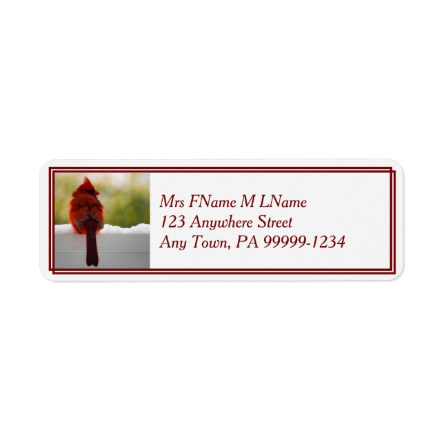 Cardinal In Snow (Front)