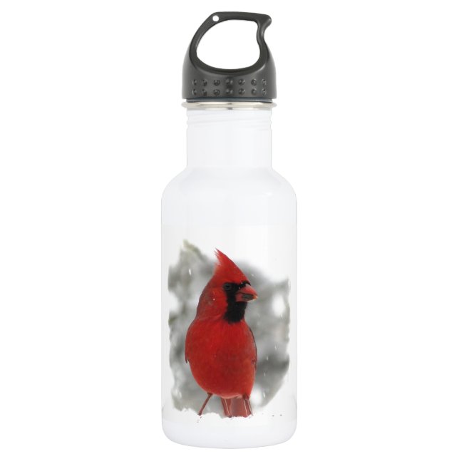 Cardinal in Snow 18oz Water Bottle (Front)