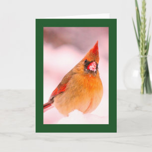 CARDINAL IN SNOW BLANK CHRISTMAS CARD