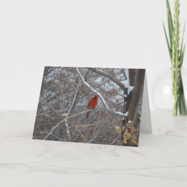 CARDINAL IN SNOW - Customised Holiday Card (Front)