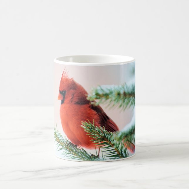 Cardinal in Snow Dusted Fir Coffee Mug (Center)