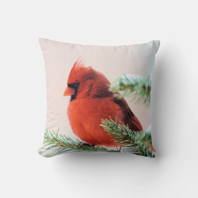 Cardinal in Snow Dusted Fir Cushion (Front)