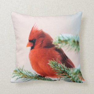 Cardinal in Snow Dusted Fir Cushion