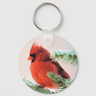 Cardinal in Snow Dusted Fir Key Ring
