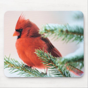 Cardinal in Snow Dusted Fir Mouse Mat