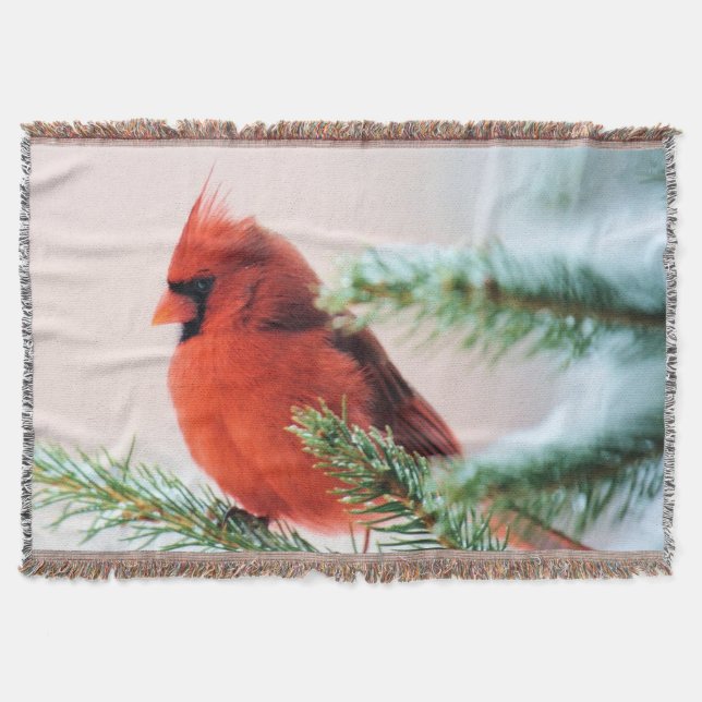 Cardinal in Snow Dusted Fir Tree Throw Blanket (Front)