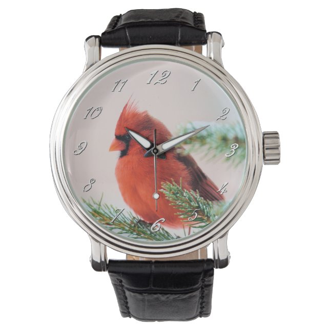Cardinal in Snow Dusted Fir Tree Watch (Front)