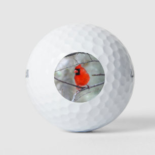 Cardinal in Snow Golf Balls