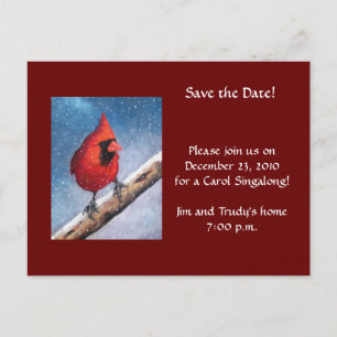 CARDINAL IN SNOW: OIL PASTEL ART: CHRISTMAS EVENT ANNOUNCEMENT POSTCARD